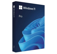 Windows Pro 11 64-bit Eng USB