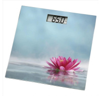 Xavax osobní digitální váha ROSA