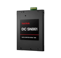 SanDisk Carrera Syndicate SSD 3.84TB DC, SN861, PCIe Gen5, (R:13700, W:7200MB/s), BICS6 TLC NVMe E3.S, ISE,Generic