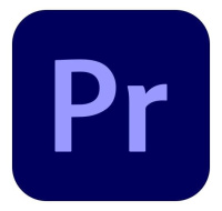 Premiere Pro for teams MP ML GOV NEW 1 User, 12 Months, Level 4, 100+ Lic