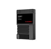 SanDisk Carrera Syndicate SSD 3.2TB DC, SN861, PCIe Gen5, (R:13700, W:7200MB/s), BICS6 TLC NVMe U.2, SE,Generic